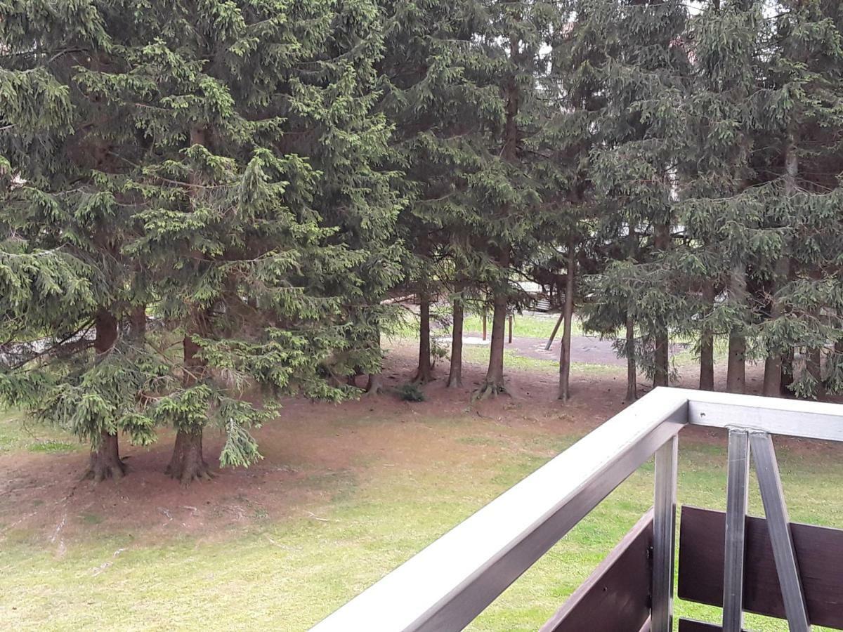 Fewo Therme Inkl Handtuecher Und Bettwaesche Altenau  Dış mekan fotoğraf